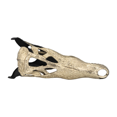 METAL,16,ALLIGATOR SKULL,GOLD/BLACK