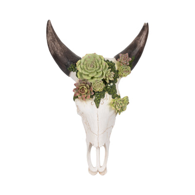 18 Bull Skull With Succulents, Multi