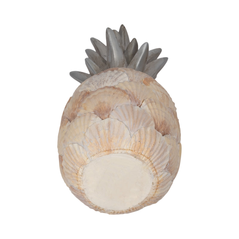 12 Seashell Pineapple, Multi