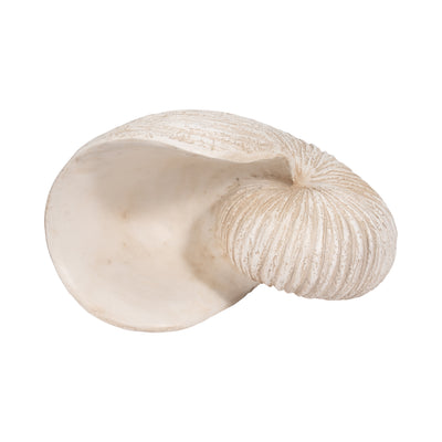 18 Shell Sculpture, Ivory