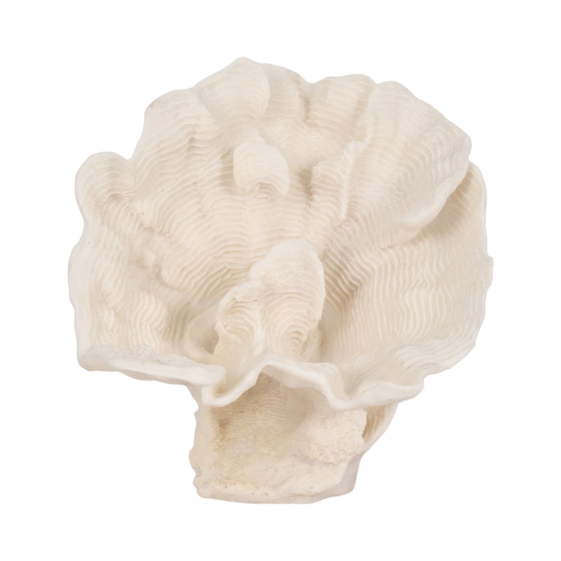 12 Coral Fan D?cor, Ivory