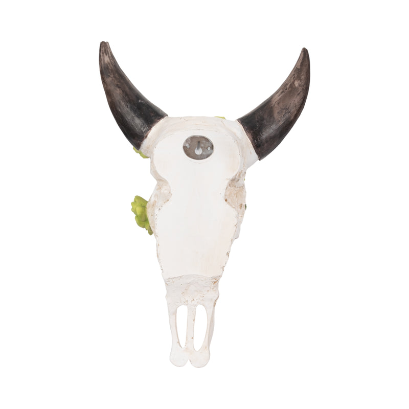 18 Bull Skull With Succulents, Multi