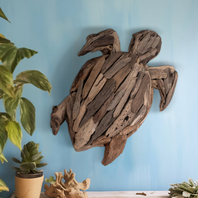 DRIFTWOOD, 22H TURTLE DECO, NATURAL