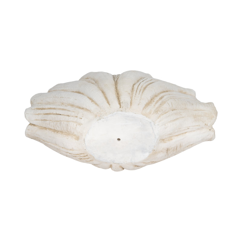 22 Scallop Shell Decor, White