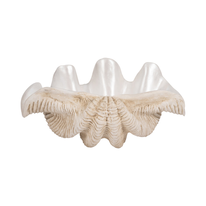 16 Pearlized Clam Shell Bowl, Ivory