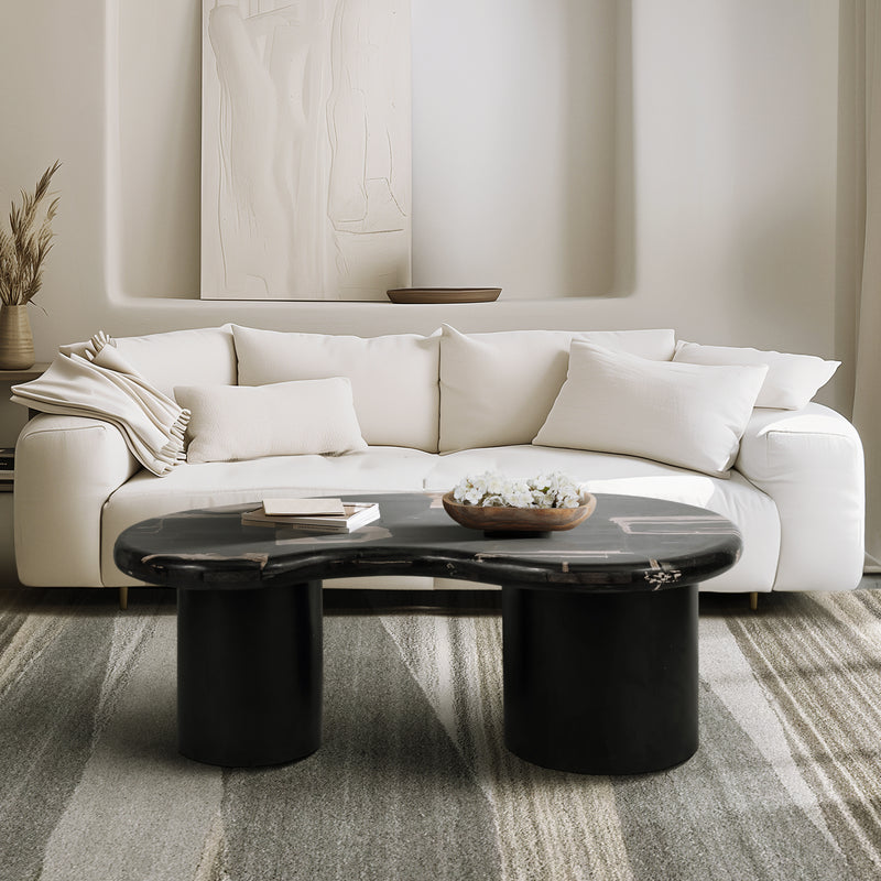 Petrified Wood, 51 Kidney Coffee Table, Black