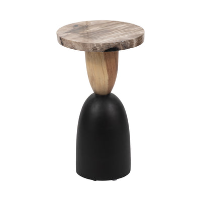 Petrified Wood, 20 Accent Table, Multi