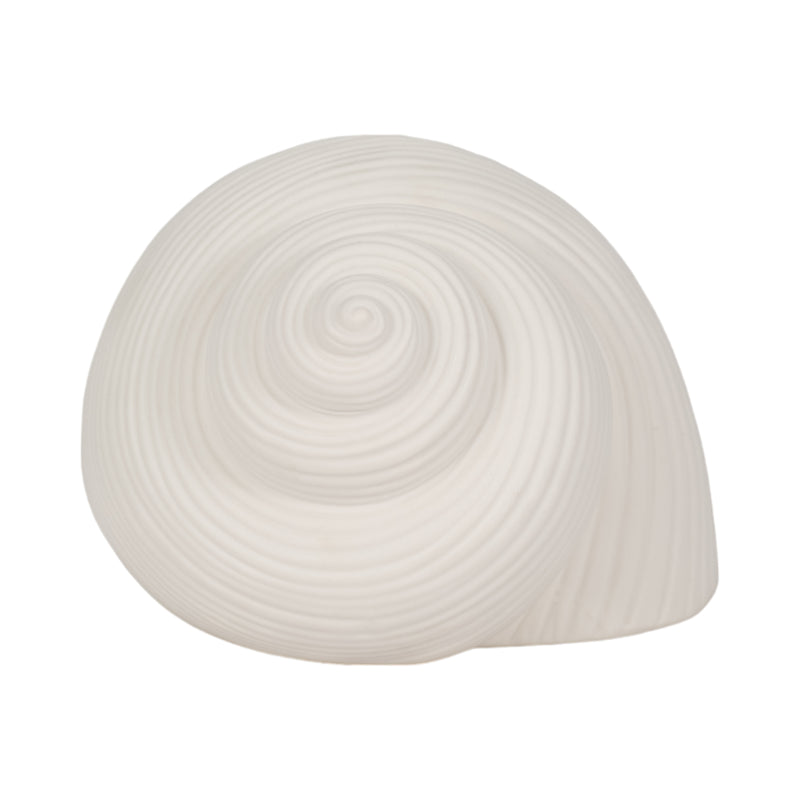 6 Bonnet Seashell, White