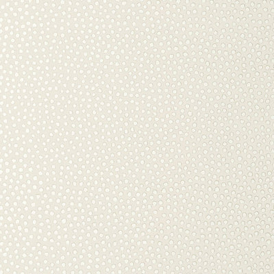 DAVIS DOT,Non Woven Wallpaper