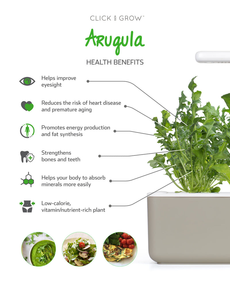 Click & Grow Seeds Arugula