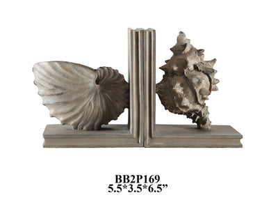 Coastal Shell Bookends