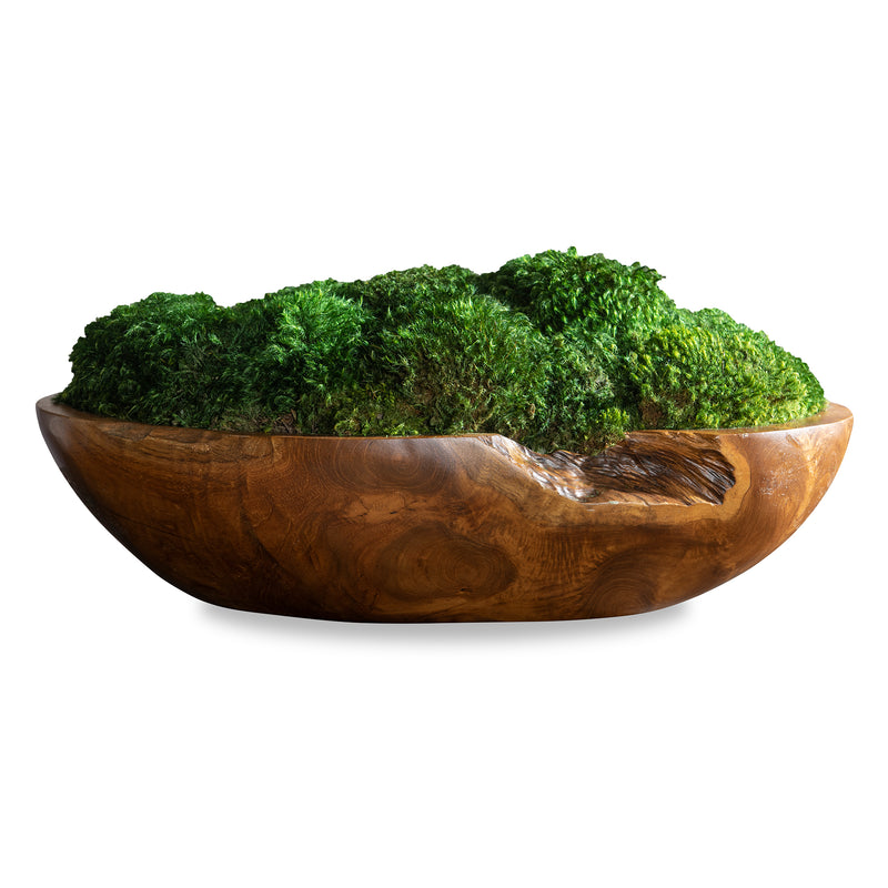 KINSALE MOSS CENTERPIECE