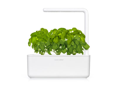 Click & Grow Seeds  Basil