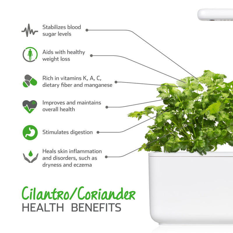 Click & Grow Seeds Coriander