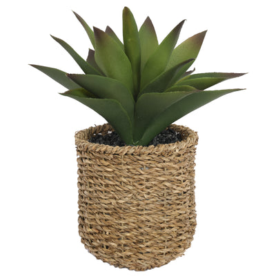 Multi-petal of Potted Artificial Succulents Plants 27CM Height