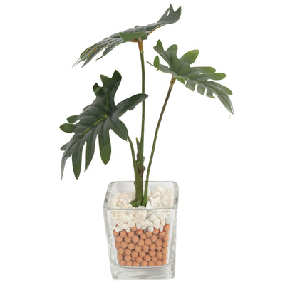 Artificial Mini Philo Plants 26CM with Glass Planter