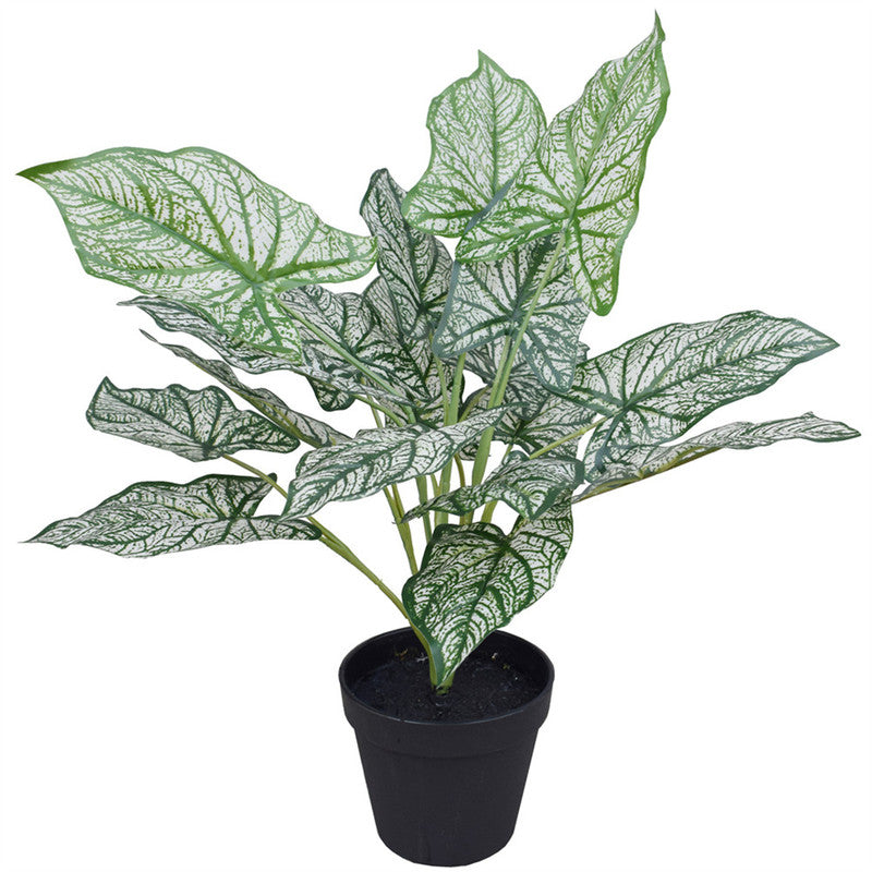 Potted Artificial White Evergreen Aglaonemas 40CM Indoor