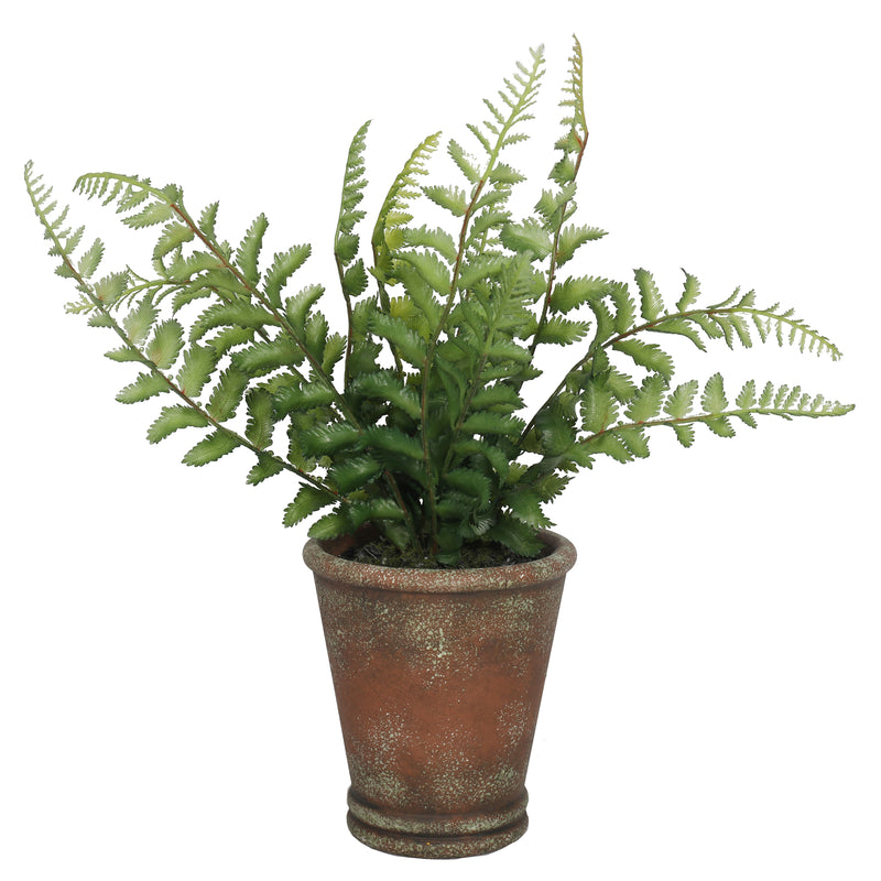 Fern 38CM