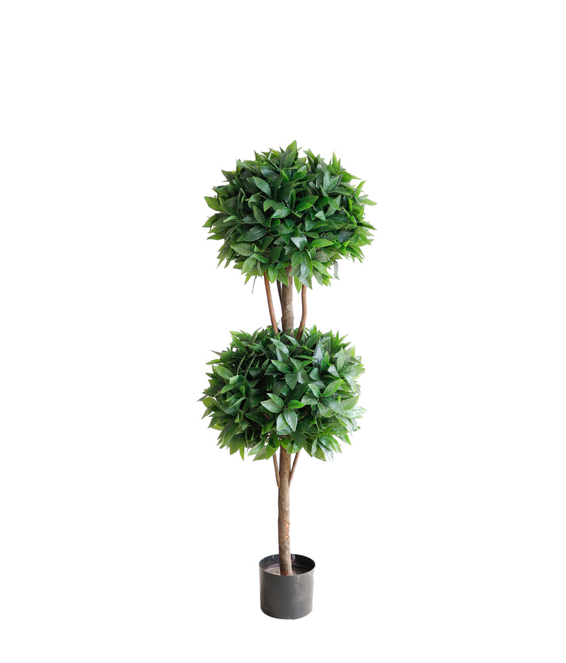 Laurel tree double ball topiary