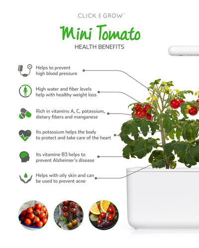 Click & Grow Seeds Mini Tomato