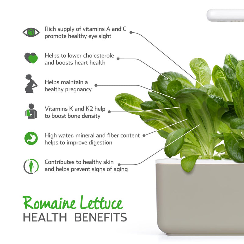 Click & Grow Seeds Romaine Lettuce