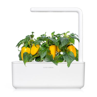 Click & Grow Seeds Yellow Sweet Pepper