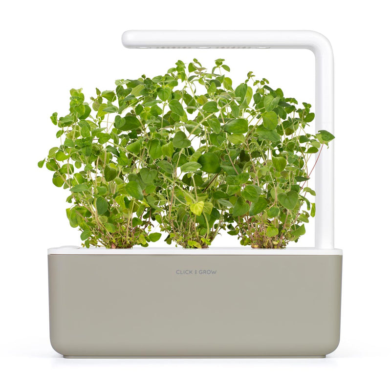 Click & Grow Seeds  Oregano