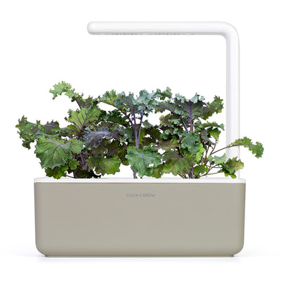 Click & Grow Seeds Red Kale