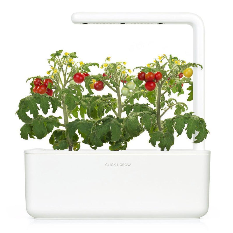 Click & Grow Seeds Mini Tomato