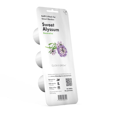 Click & Grow Sweet Alyssum / 3-pack