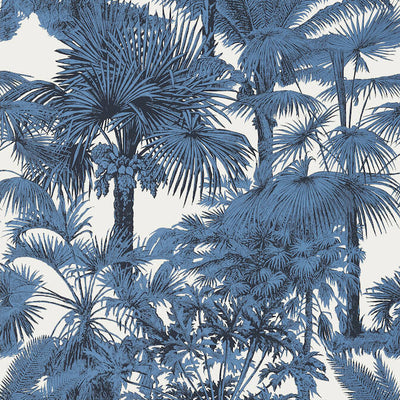 PALM BOTANICAL,Wallpaper