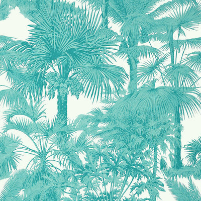 PALM BOTANICAL,Wallpaper