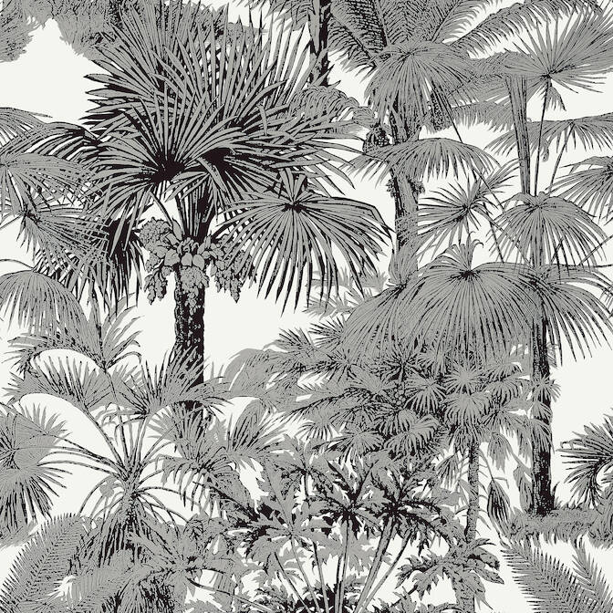 PALM BOTANICAL,Wallpaper