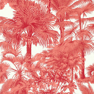 PALM BOTANICAL,Wallpaper