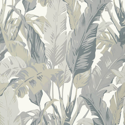 TRAVELERS PALM,Non Woven Wallpaper