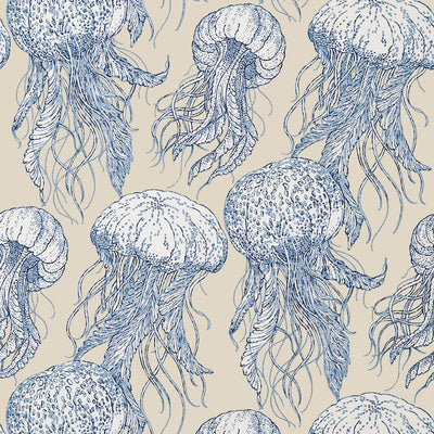 JELLY FISH BLOOM,Wallpaper