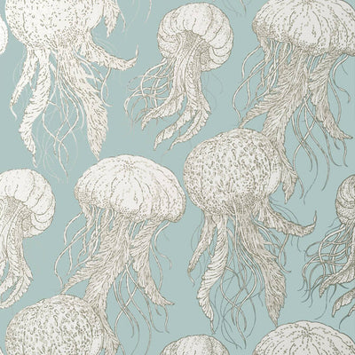 JELLY FISH BLOOM,Wallpaper