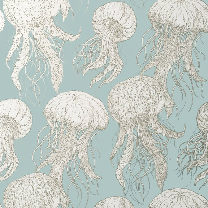 JELLY FISH BLOOM,Wallpaper