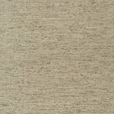 ARROWROOT,Embossed Vinyl Woven Wallpaper