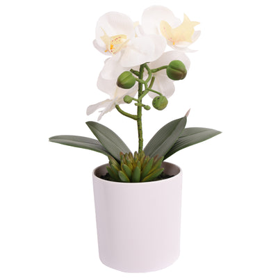 Artificial Potted Orchids 21CM White