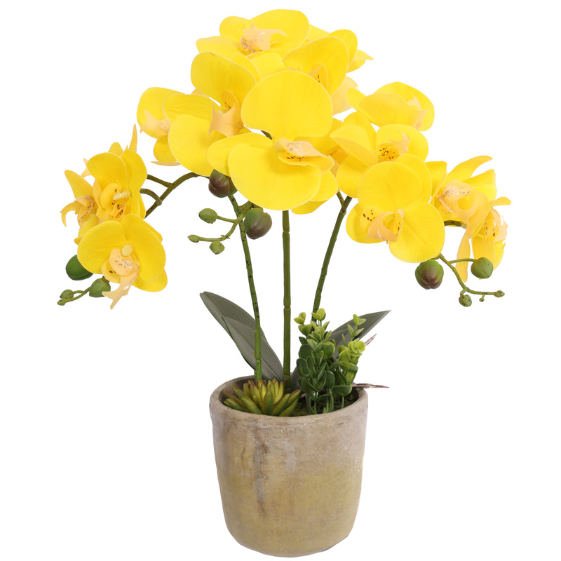 Artificial Potted Orchids 54CM Yellow