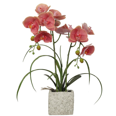 Artificial Potted Orchids 51CM Indoor Champagne