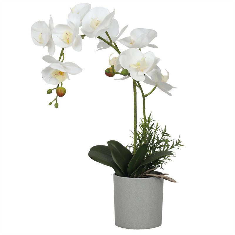 Nice Potted Artificial Orchids Bonsai 50CM