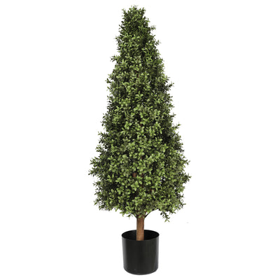 Buxus Tower Tree 120CM