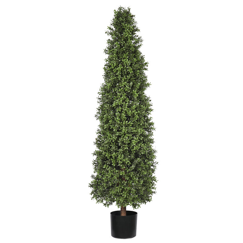 Buxus Tower Tree 150CM