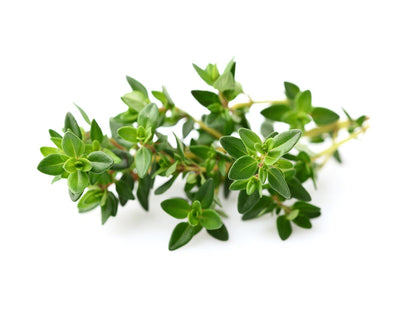 Click & Grow Seeds Thyme