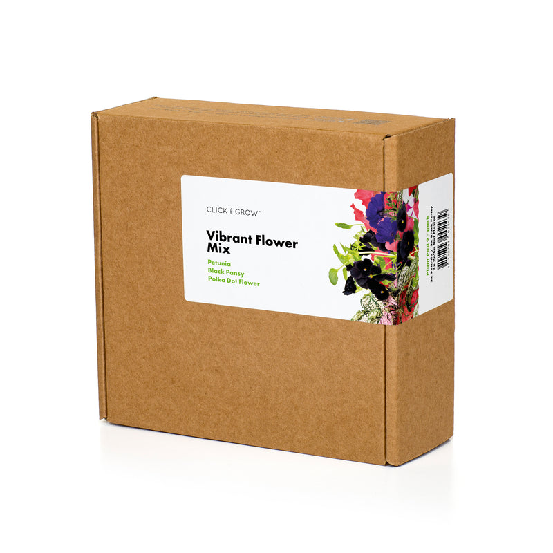 Click & Grow Vibrant Flower Mix