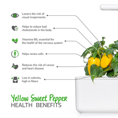 Click & Grow Seeds Yellow Sweet Pepper