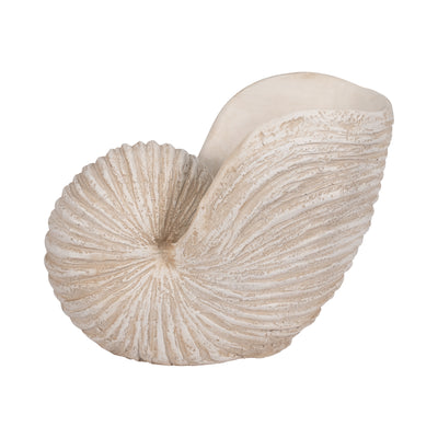 18 Shell Sculpture, Ivory