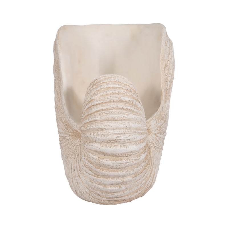 18 Shell Sculpture, Ivory